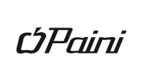 Paini